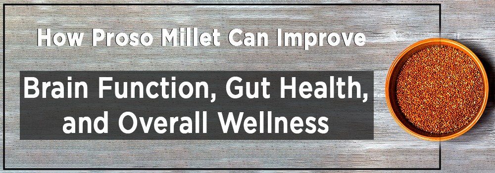 How Proso Millet Can Improve Brain Function, Gut Health, and Overall Wellness