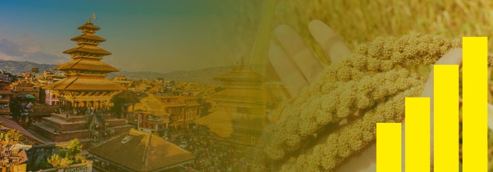 Millet Market Dynamics: Trends in Nepal's Import Landscape