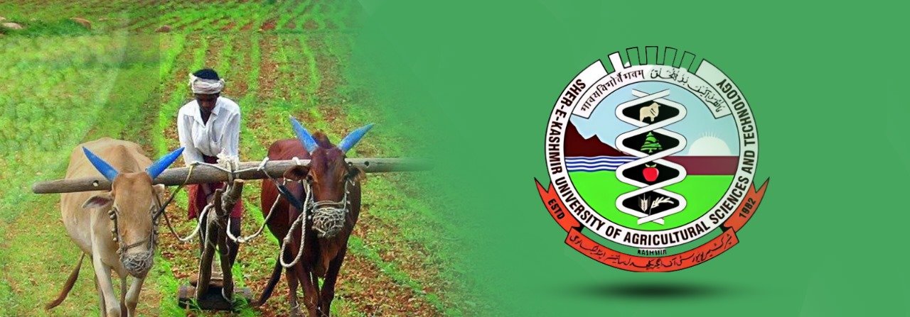 Millets - SKUAST-K's Initiative for Dietary Diversification and Sustainability
