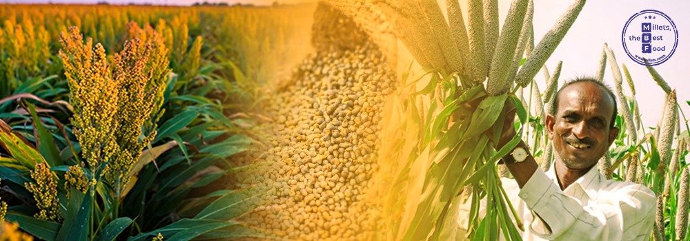 Government Providing Free Millets Production Incentives