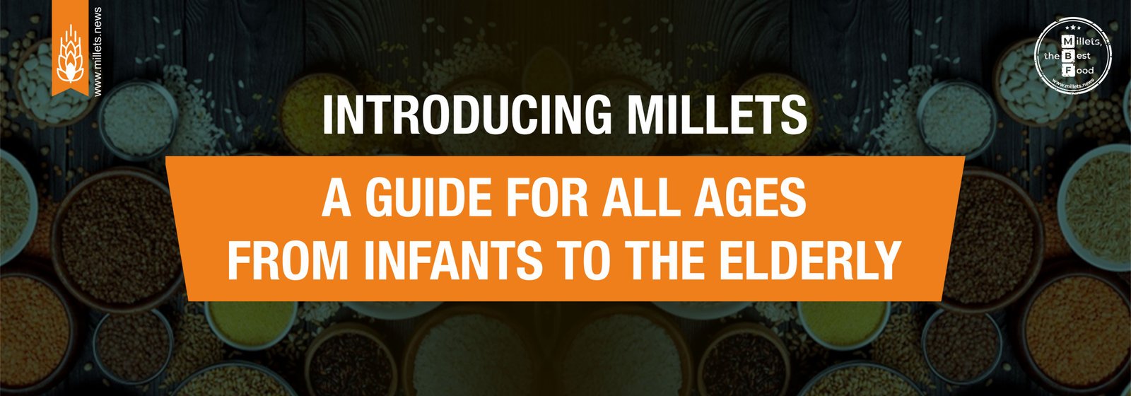 Introducing Millets: A Guide for All Ages from Infants to the Elderly