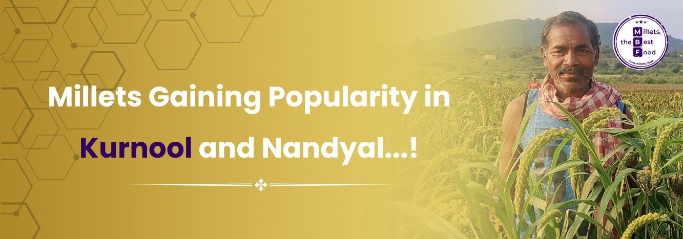 Millets Gaining Popularity in Kurnool and Nandyal