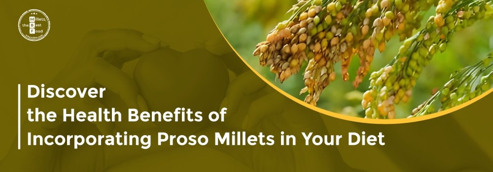 Discover the Health Benefits of Incorporating Proso Millets in Your Diet