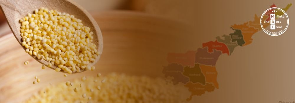 Andhra Pradesh gets best state pavilion award at organic trade show