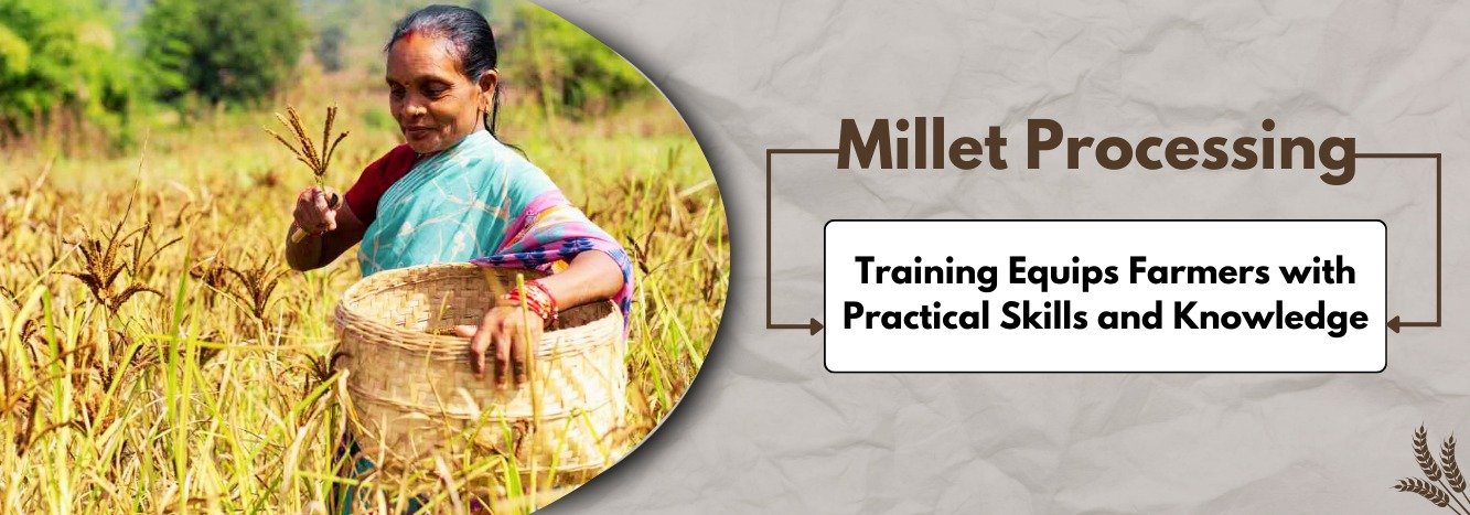 Millet Processing Training Equips Farmers with Practical Skills and Knowledge