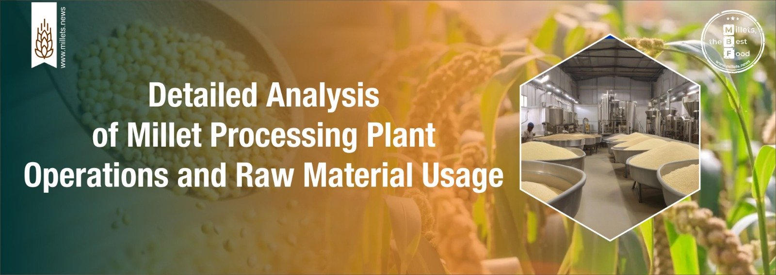 Detailed Analysis of Millet Processing Plant Operations and Raw Material Usage