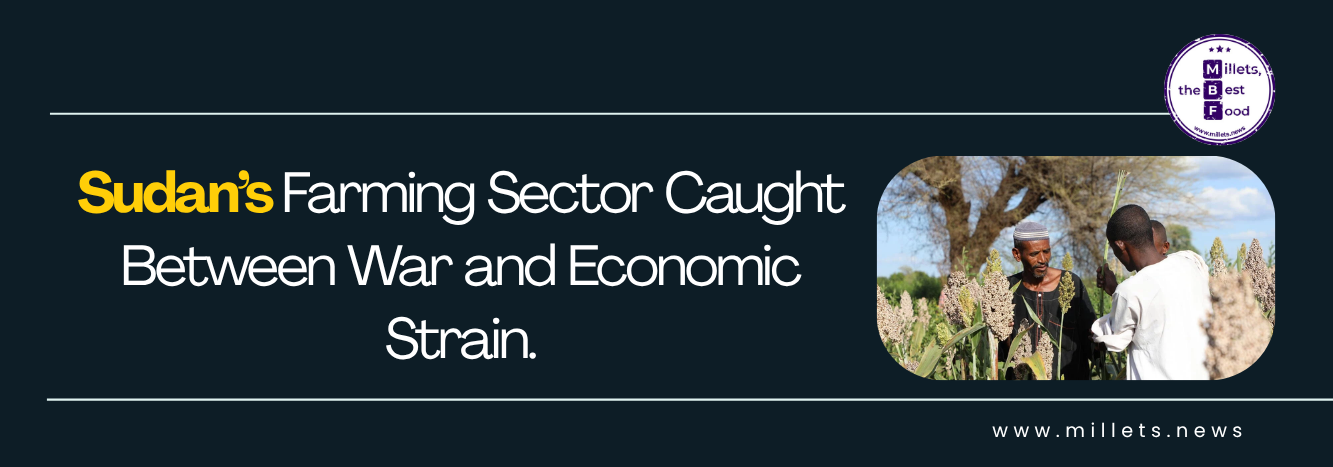 Sudan’s Farming Sector Caught Between War and Economic Strain