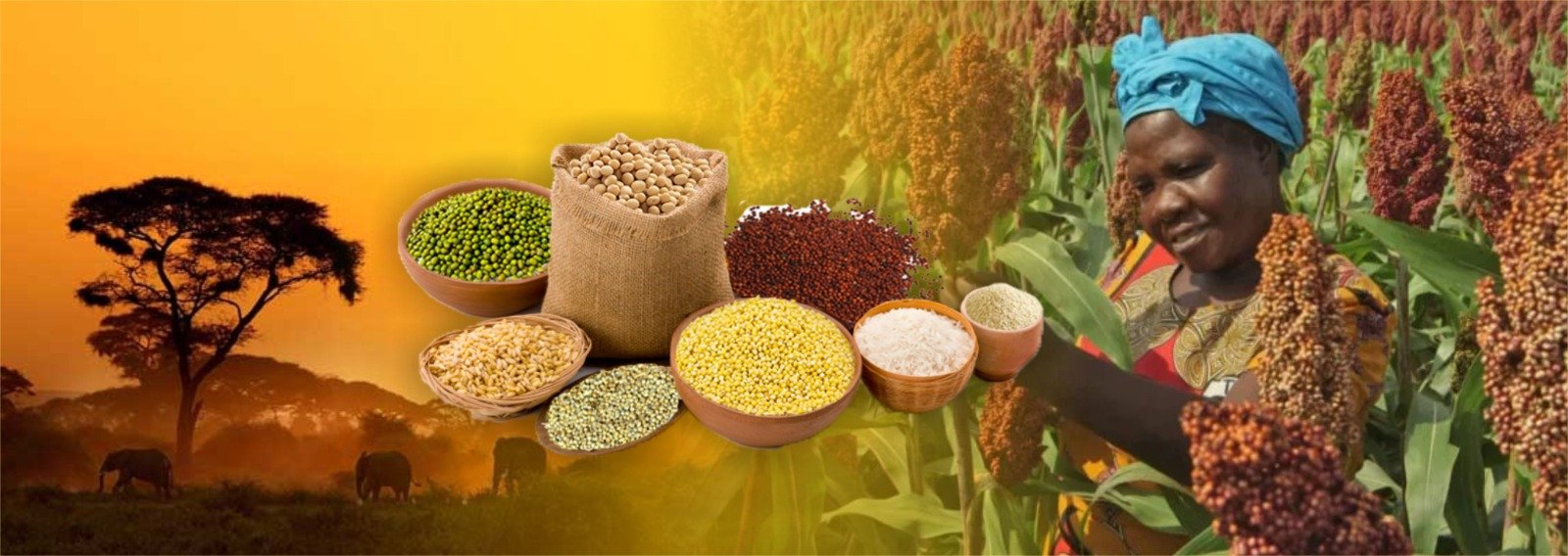 Building Resilience: Forum Advancing Food Security in Africa