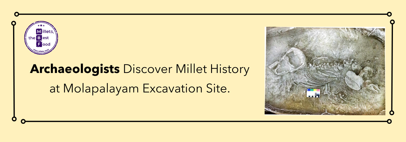 Archaeologists Discover Millet History at Molapalayam Excavation Site 