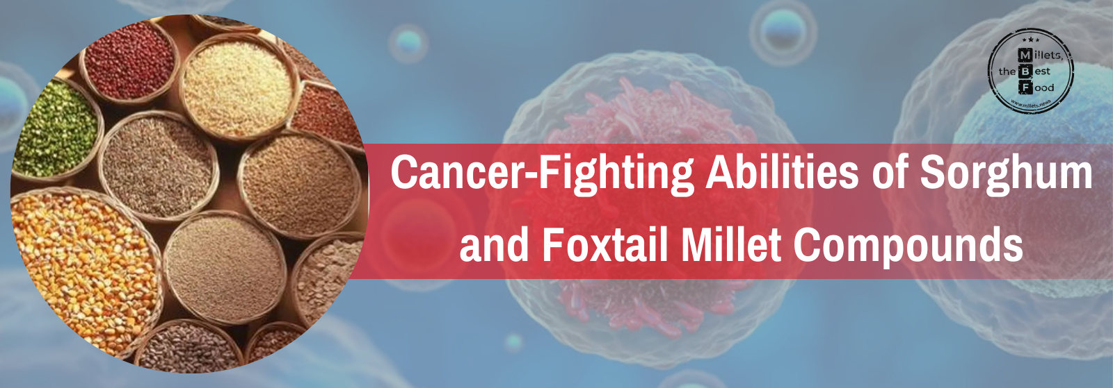 Cancer-Fighting Abilities of Sorghum and Foxtail Millet Compounds