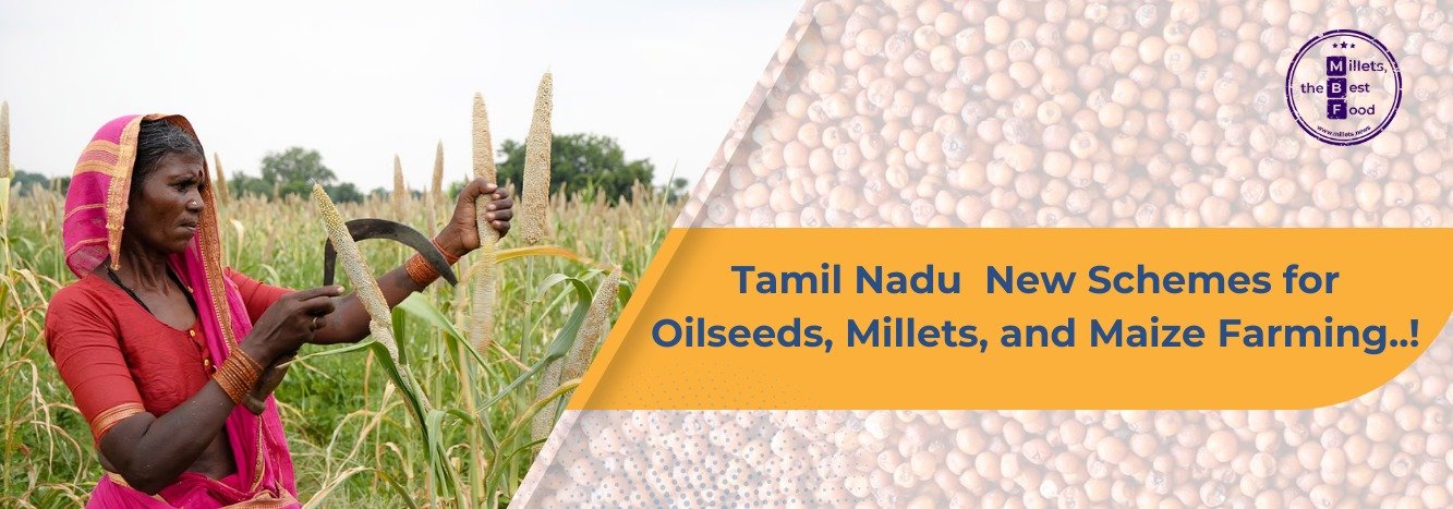 Tamil Nadu Introduces New Schemes for Oilseeds, Millets, and Maize Farming