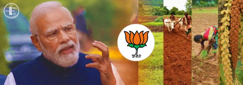 Transforming India into a Nutrition Hub with Millet Cultivation: BJP 
