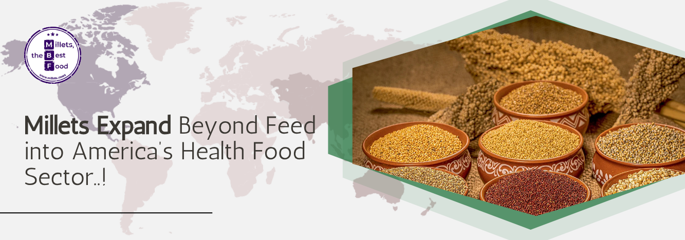 Millets Expand Beyond Feed into America’s Health Food Sector 