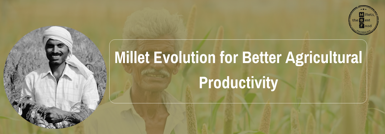 Investigating Millet's Evolution for Enhanced Agricultural Productivity