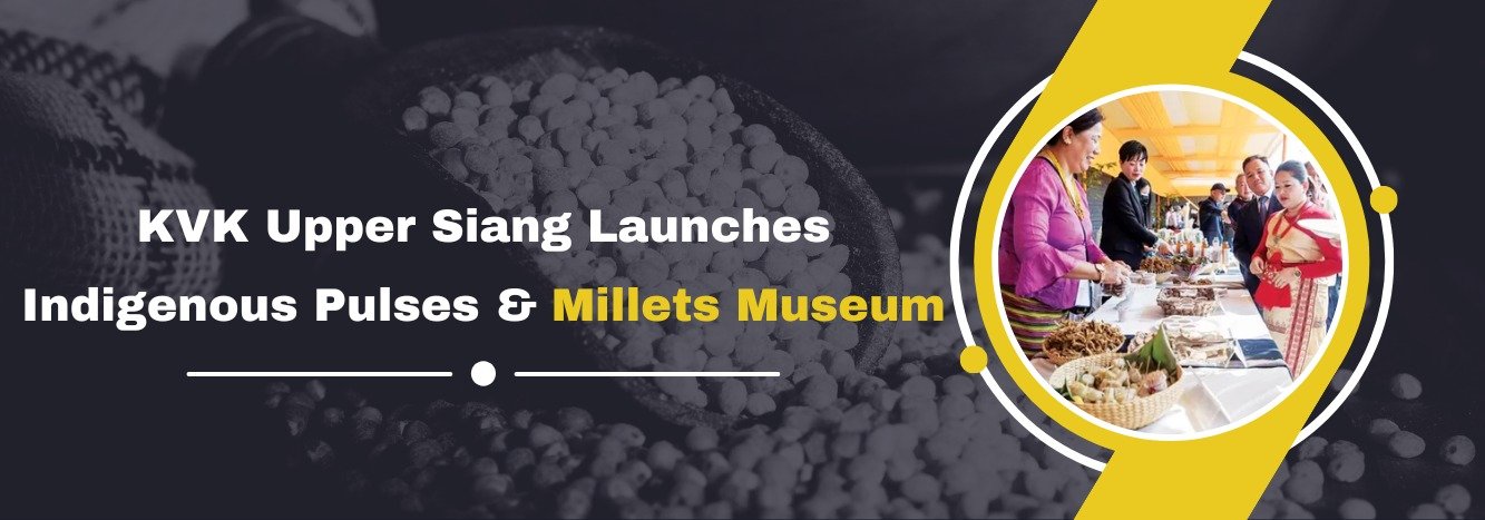 KVK Upper Siang Launches Indigenous Pulses & Millets Museum