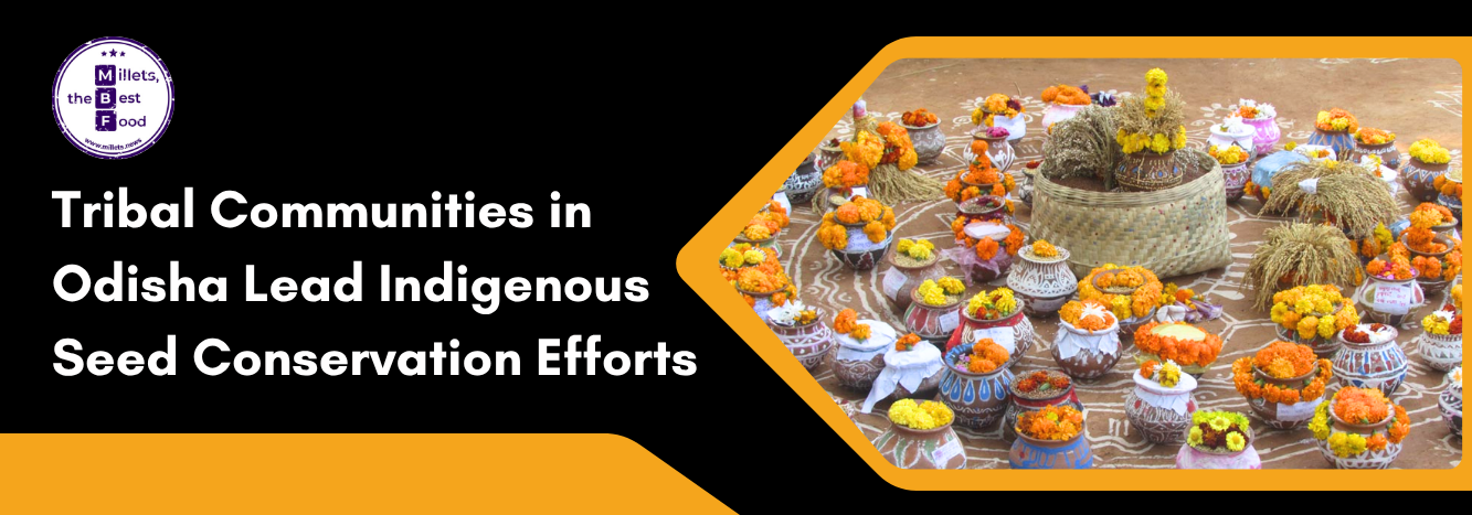 Tribal Communities in Odisha Lead Indigenous Seed Conservation Efforts 