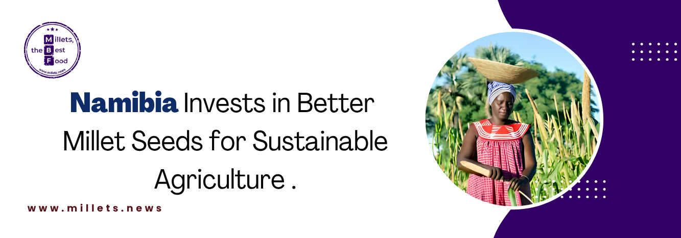 Namibia Invests in Better Millet Seeds for Sustainable Agriculture 
