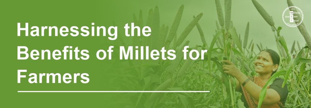 Harnessing the Benefits of Millets for Farmers