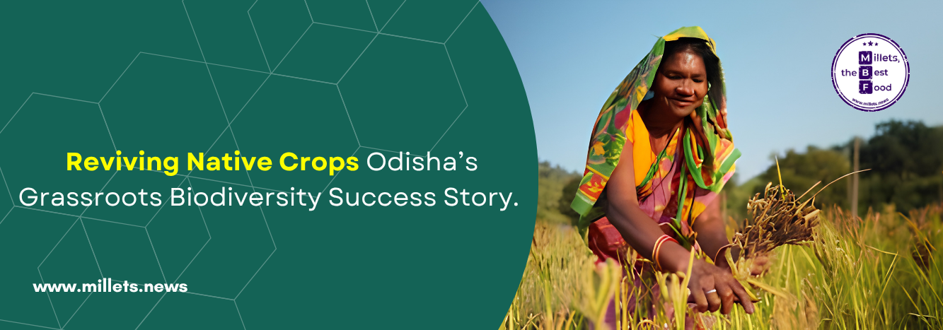 Reviving Native Crops: Odisha’s Grassroots Biodiversity Success Story 