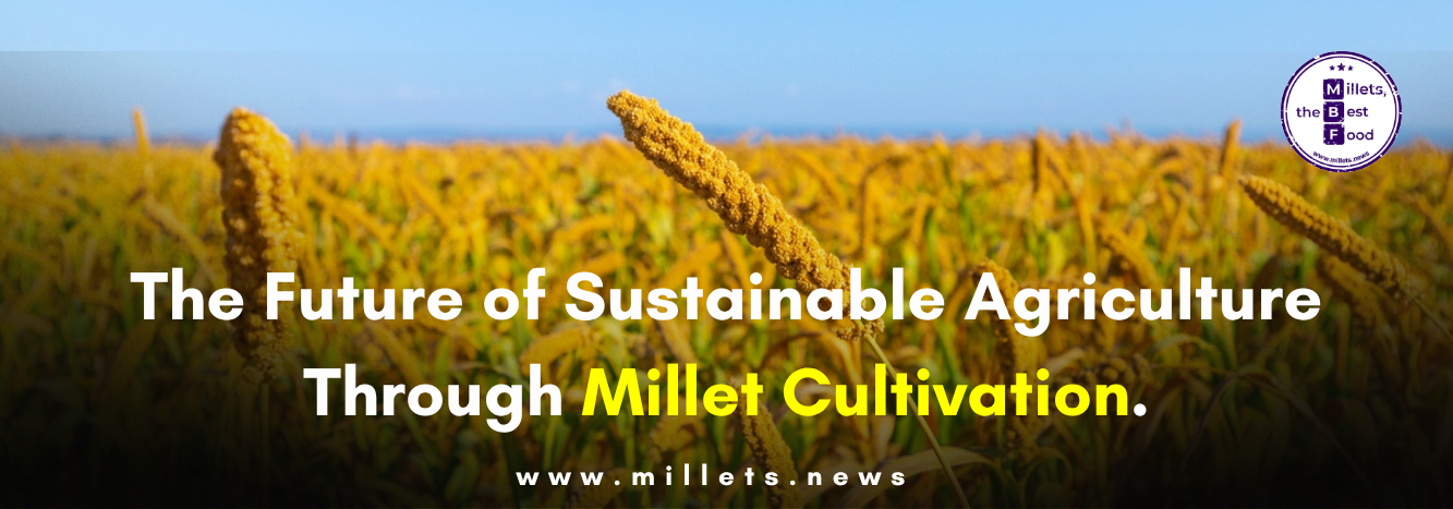 The Future of Sustainable Agriculture Through Millet Cultivation