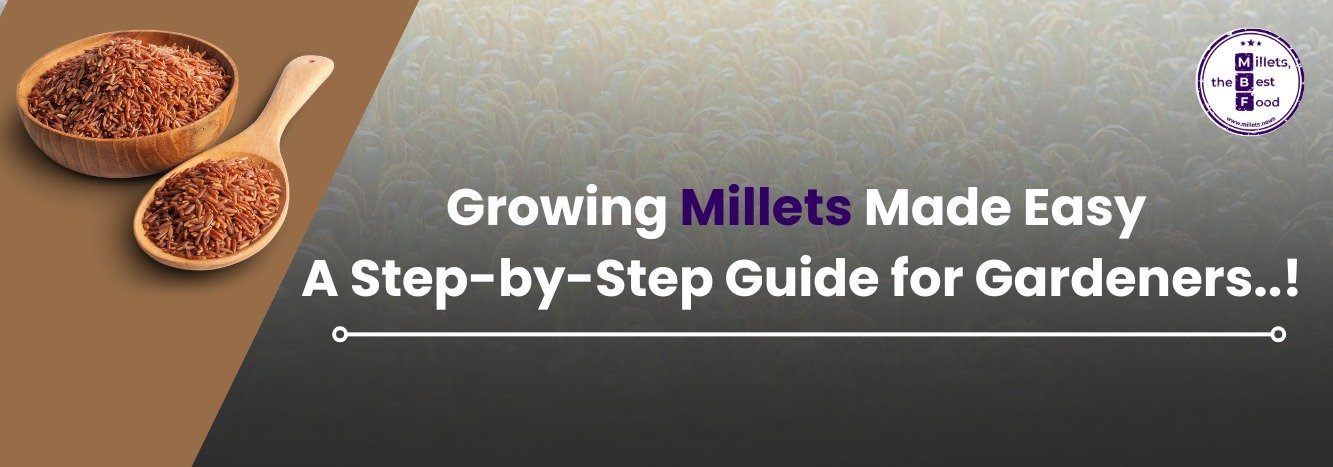 Growing Millets Made Easy: A Step-by-Step Guide for Gardeners