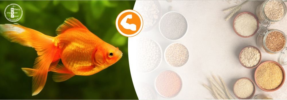 Protein food with millets and fish is praised for the innovative idea of CIFT