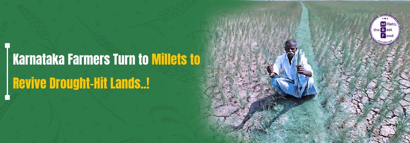 Karnataka Farmers Turn to Millets to Revive Drought-Hit Lands