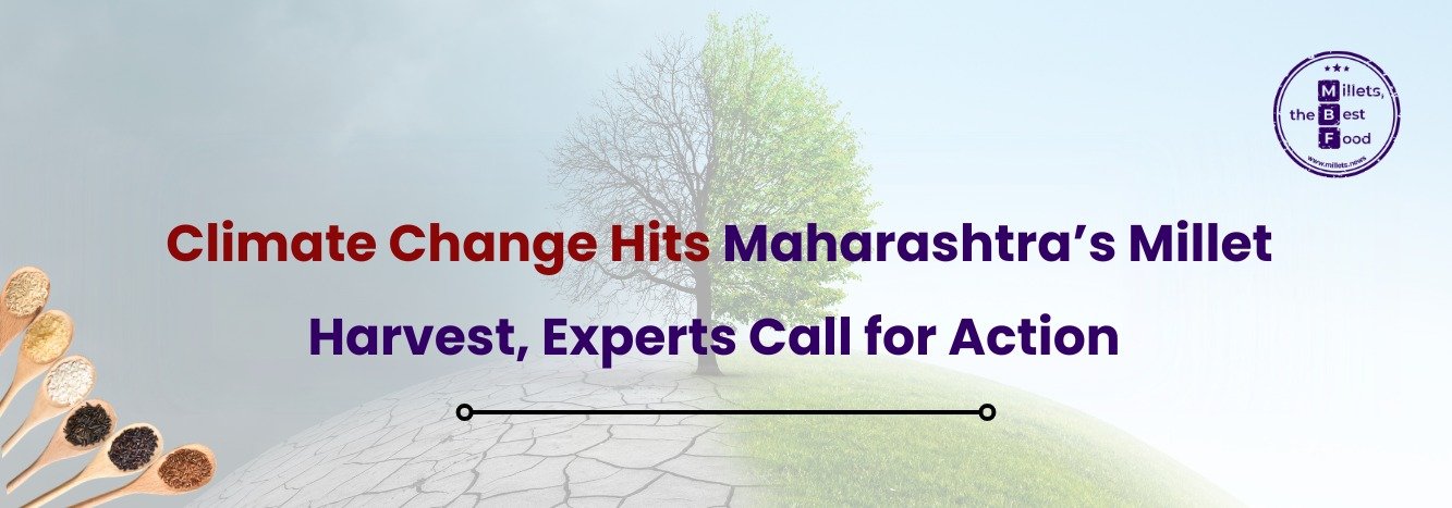 Climate Change Hits Maharashtra’s Millet Harvest, Experts Call for Action