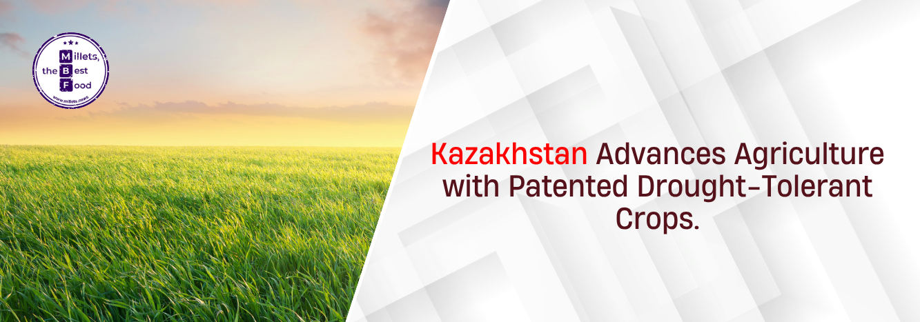 Kazakhstan Advances Agriculture with Patented Drought-Tolerant Crops