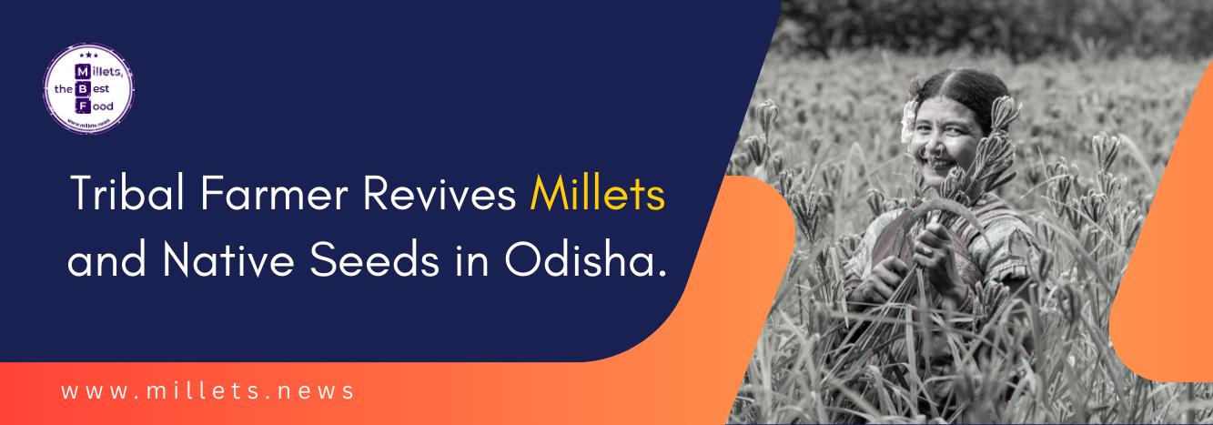 Tribal Farmer Revives Millets and Native Seeds in Odisha