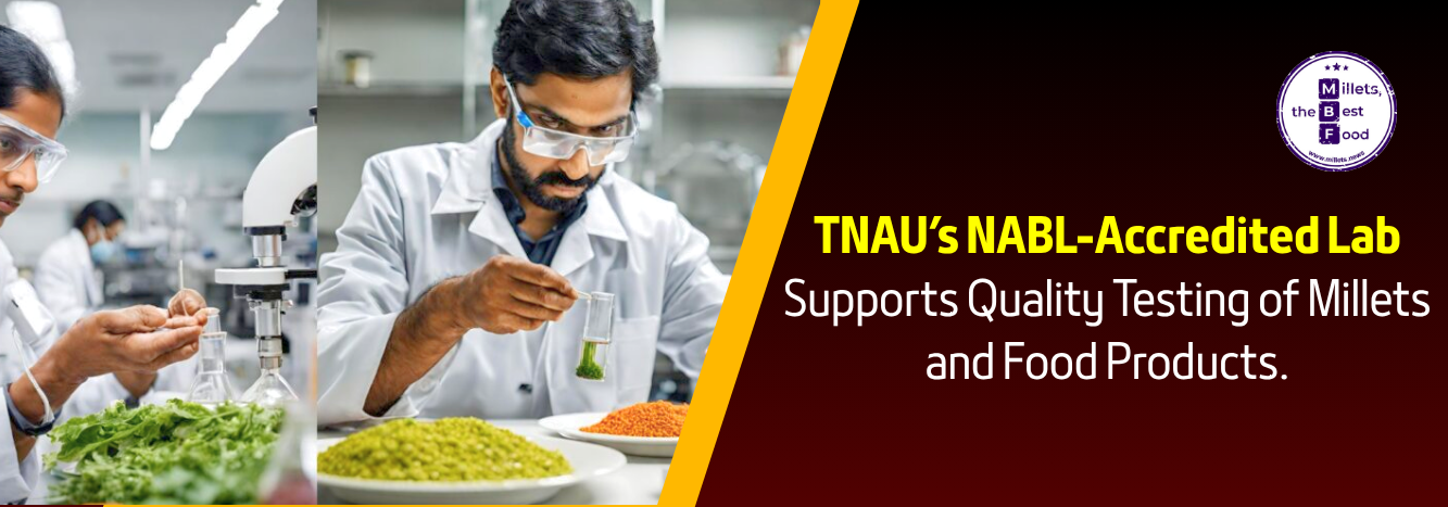 TNAU’s NABL-Accredited Lab Supports Quality Testing of Millets and Food Products 