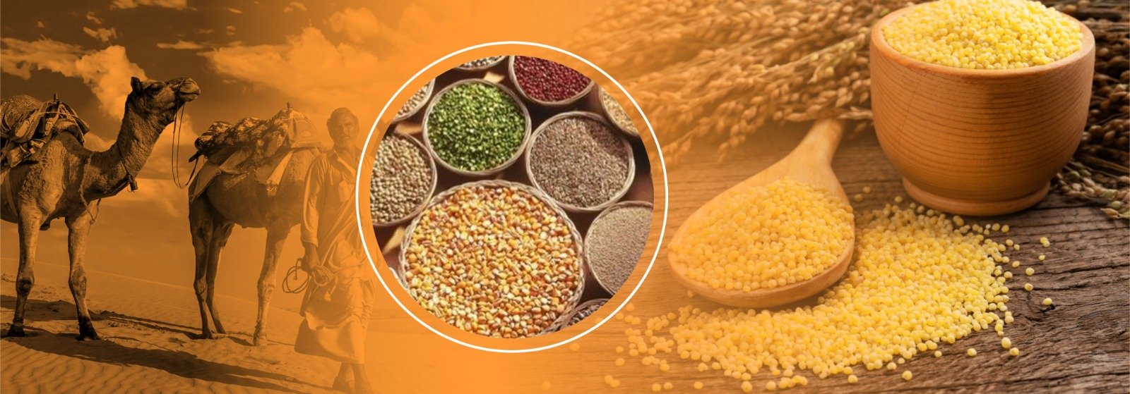 Rajasthan Government's Initiative to Distribute Millets Through Public Distribution System During Winter