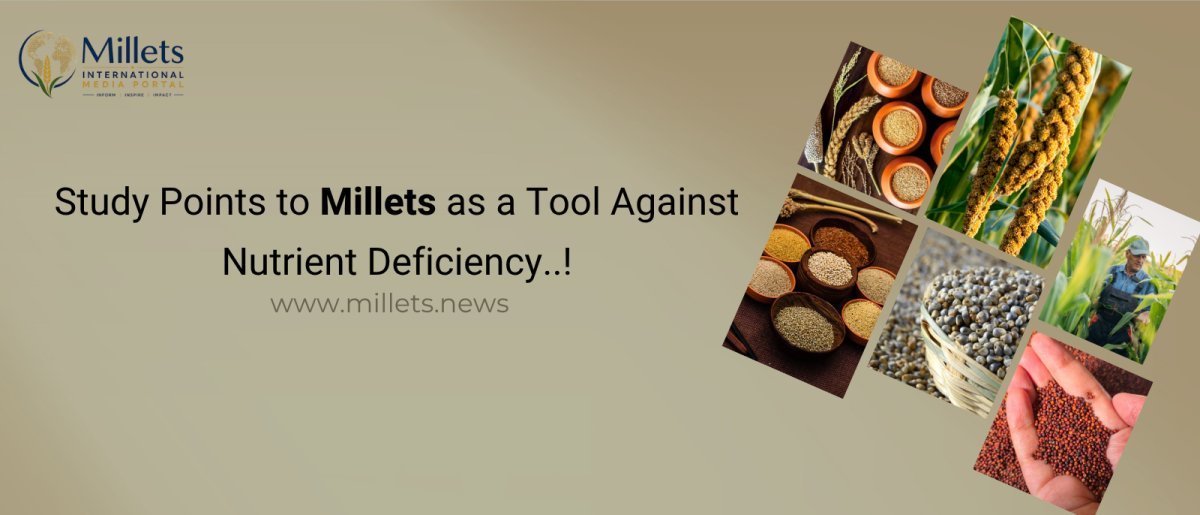 Study Points to Millets as a Tool Against Nutrient Deficiency