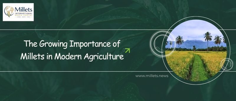The Growing Importance of Millets in Modern Agriculture