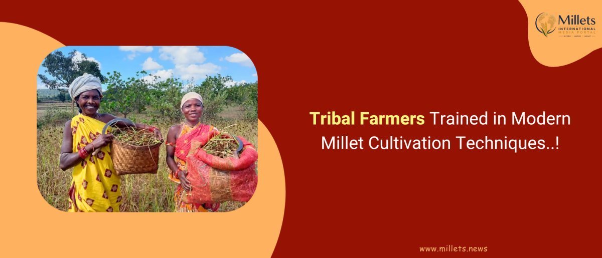 Millets for Women: A Simple Way to Support Uterine Wellness