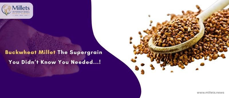 Buckwheat Millet: The Supergrain You Didn’t Know You Needed