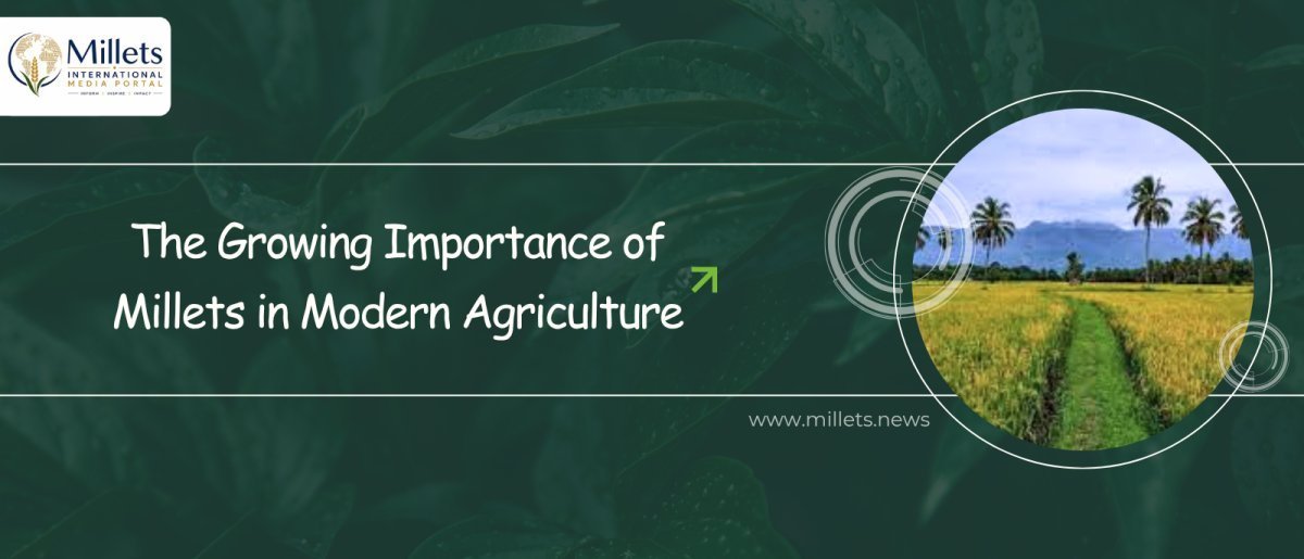 The Growing Importance of Millets in Modern Agriculture