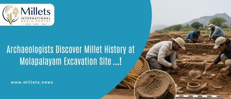Archaeologists Discover Millet History at Molapalayam Excavation Site