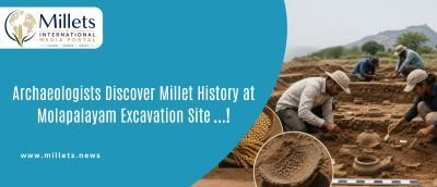Archaeologists Discover Millet History at Molapalayam Excavation Site
