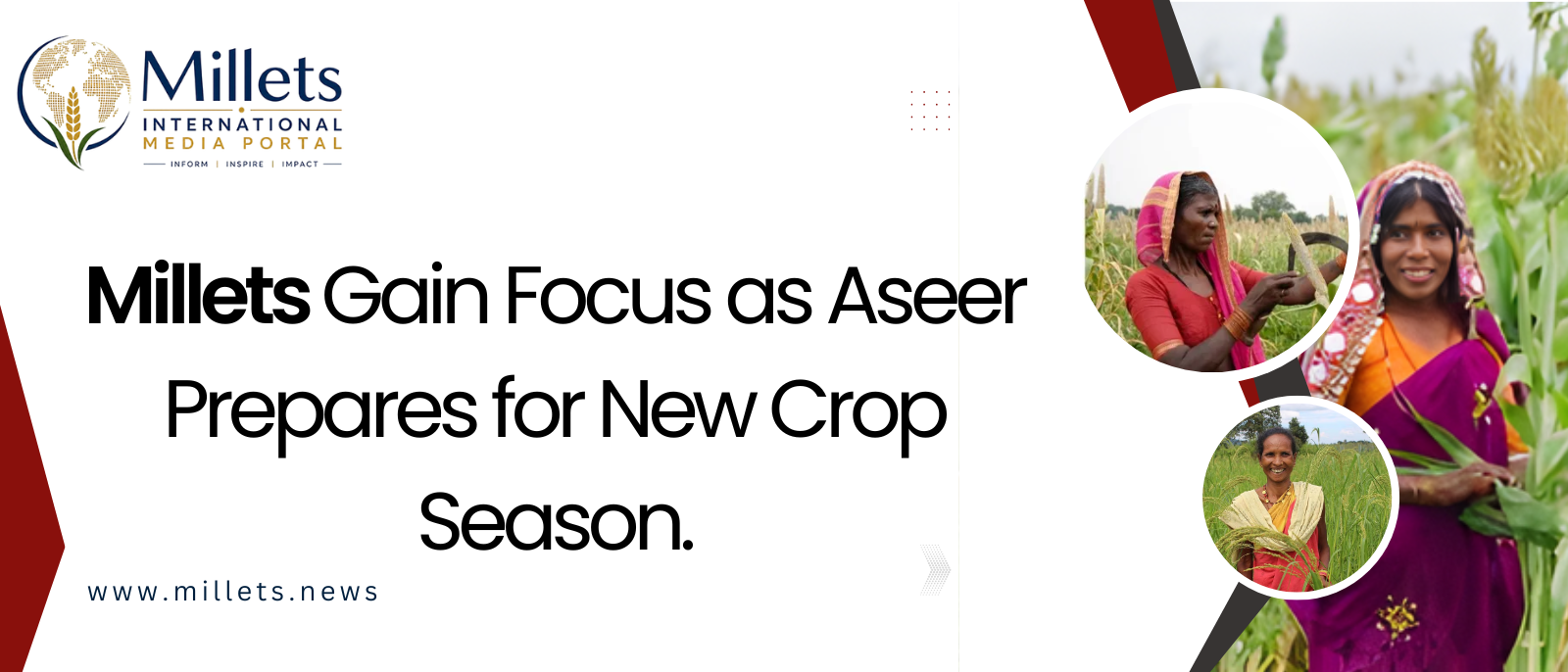 Aseer Farmers Prepare for Millet Spring Season | millets.news