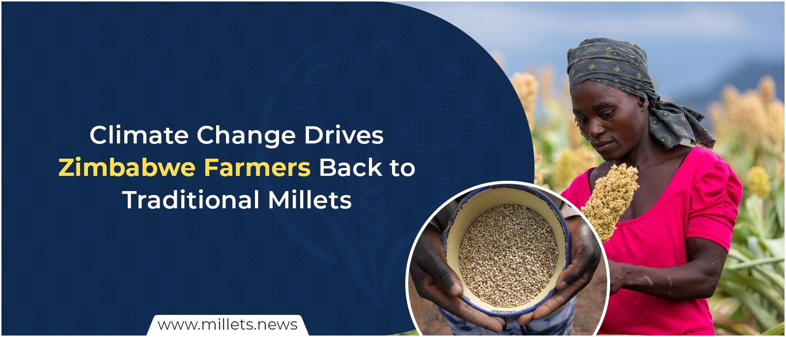 Climate Change Drives Zimbabwe Farmers Back to Traditional Millets