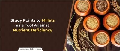 Study Points to Millets as a Tool Against Nutrient Deficiency