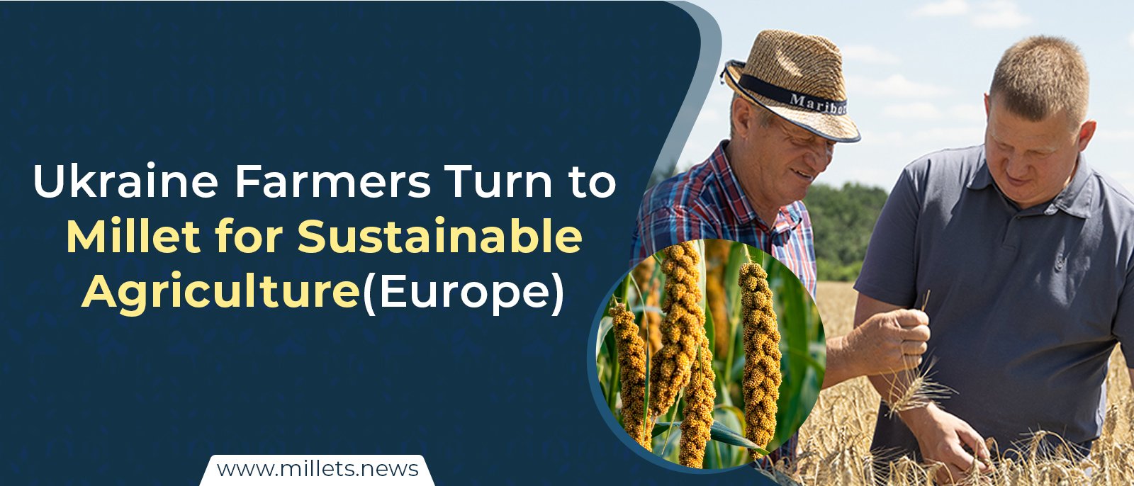 Ukraine Farmers Turn to Millet for Sustainable Agriculture