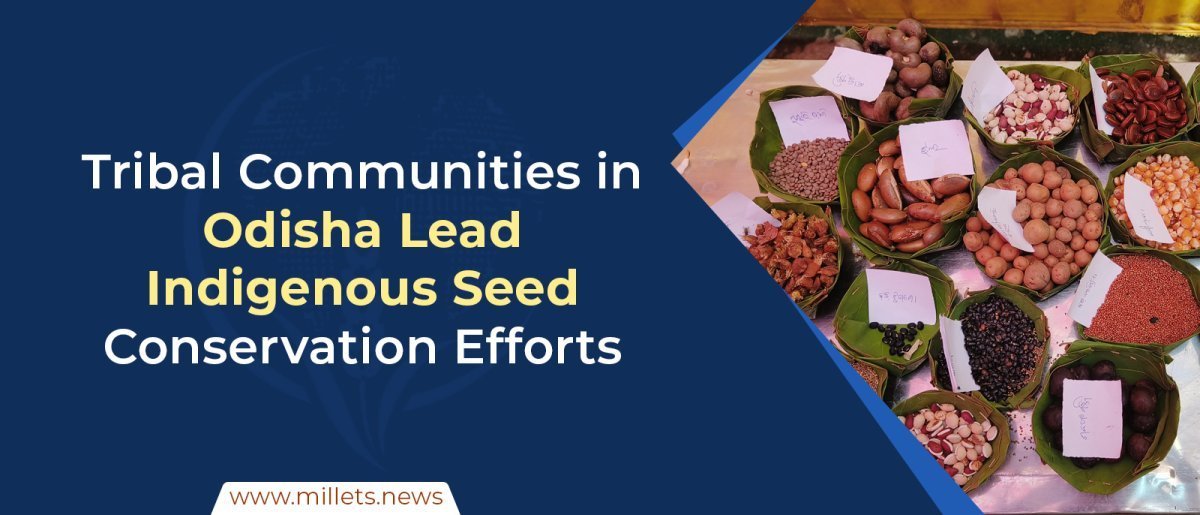 Tribal Communities in Odisha Lead Indigenous Seed Conservation Efforts