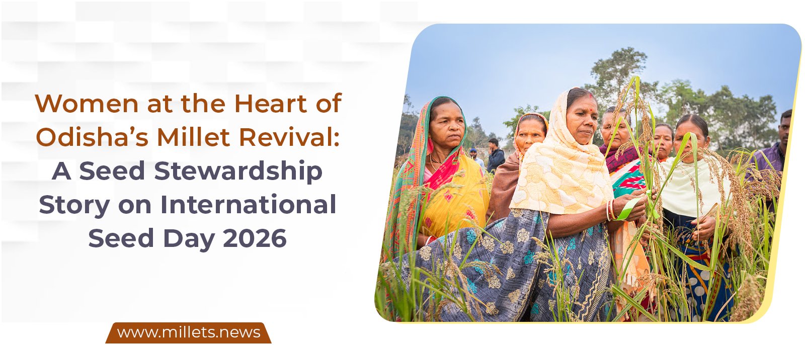 Women at the Heart of Odisha’s Millet Revival: A Seed Stewardship Story on International Seed Day 2026