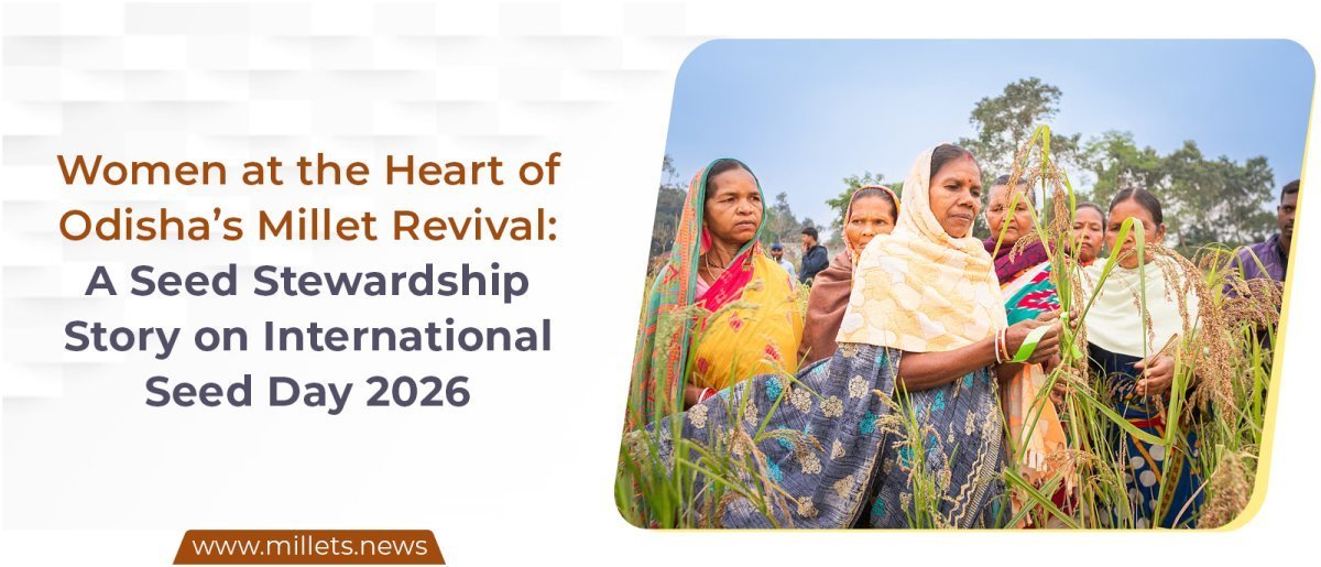 Women at the Heart of Odisha’s Millet Revival: A Seed Stewardship Story on International Seed Day 2026