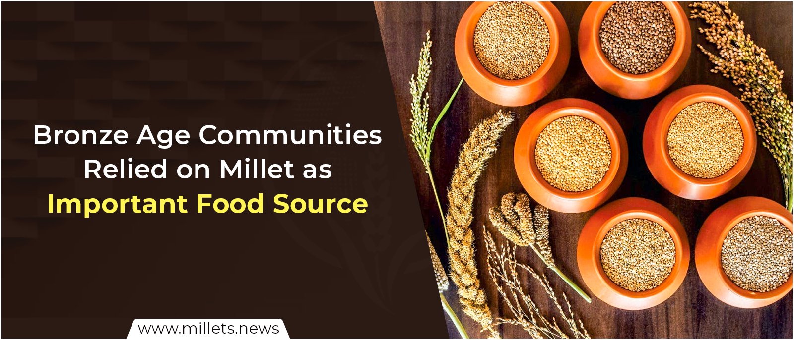 Bronze Age Communities Relied on Millet as Important Food Source