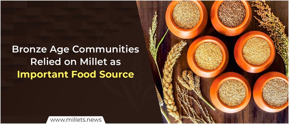 Bronze Age Communities Relied on Millet as Important Food Source