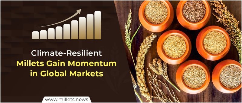 Climate-Resilient Millets Gain Momentum in Global Markets