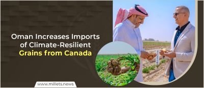 Oman Increases Imports of Climate-Resilient Grains from Canada